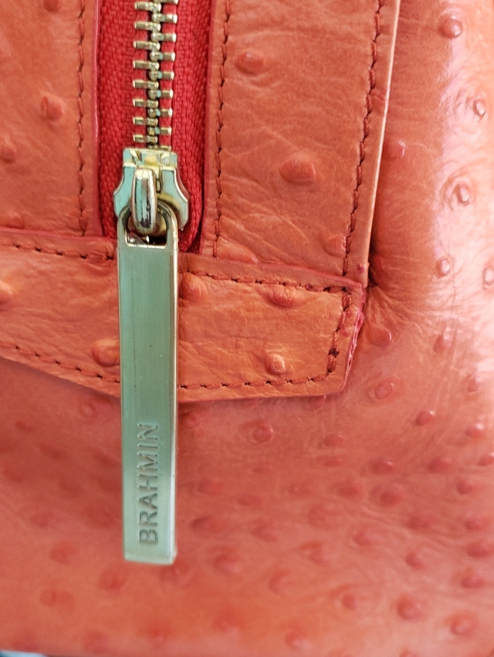 Brahmin Gemma Prawn Normandy - Picture 6 of 10